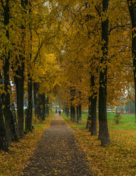 Similar image 21488896