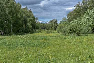 Similar image 21488898