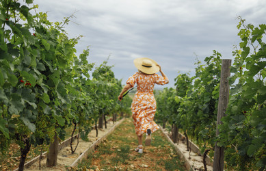 Similar image 21496155