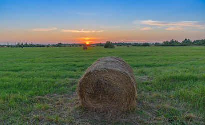 Similar image 21488929