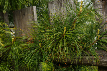 Similar image 21488974