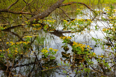 Similar image 21488976