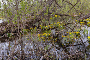 Similar image 21488977