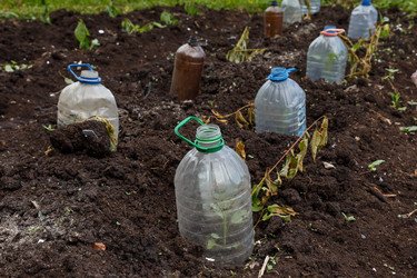 Similar image 21488978