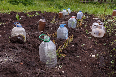 Similar image 21488979