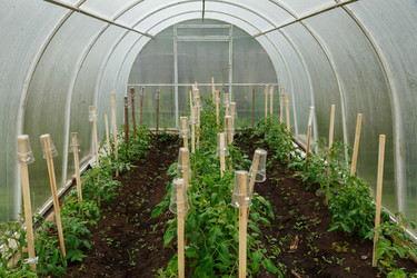 Similar image 21488984