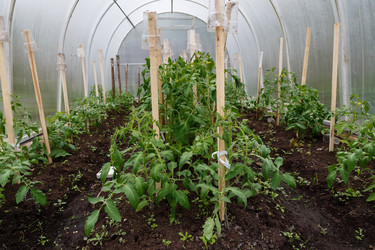 Similar image 21488985