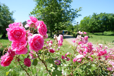 Similar image 21489486