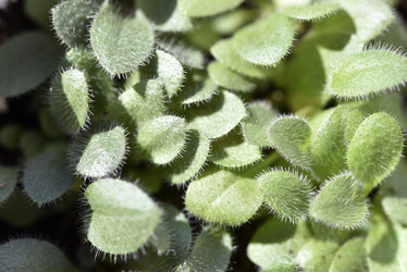 Similar image 21489488