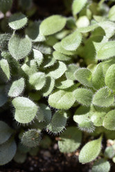 Similar image 21489489