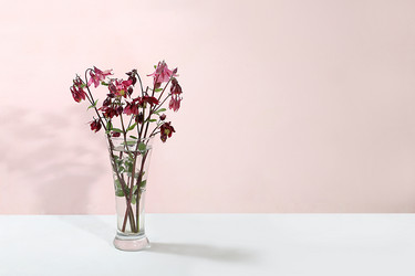 Similar image 21489023