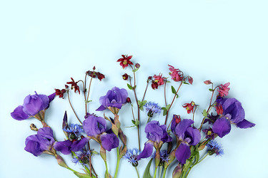 Similar image 21489025