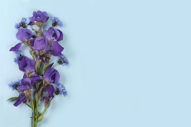 Similar image 21489026