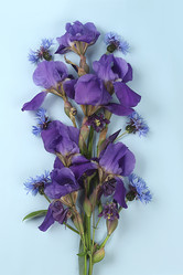 Similar image 21489027