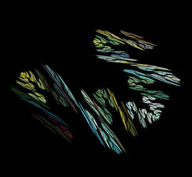 Similar image 21501776