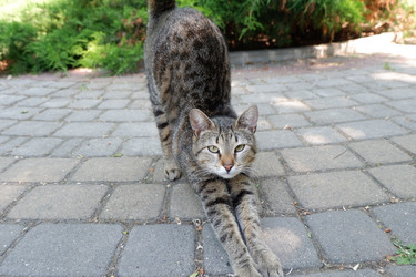 Similar image 21489501