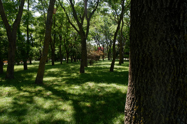 Similar image 21489502