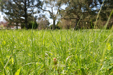 Similar image 21489503