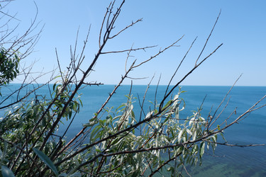 Similar image 21489504