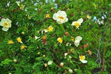 Similar image 21489629