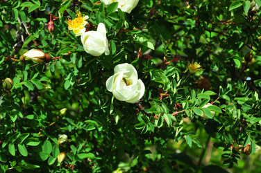 Similar image 21489631