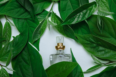 Similar image 21497198