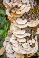 Similar image 21489507