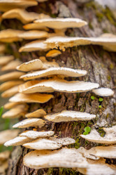 Similar image 21489508