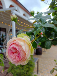 Similar image 21489456