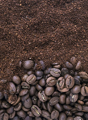 Similar image 21489511