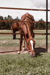 Similar image 21494199