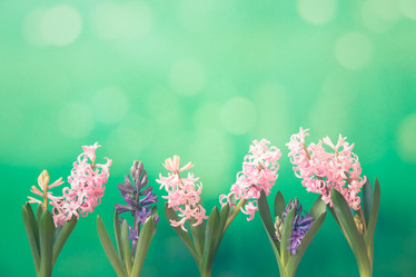 Similar image 21489643