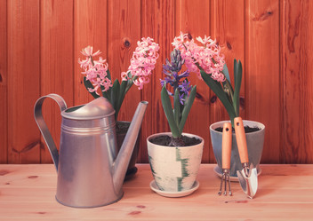 Similar image 21489656