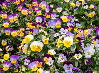 Similar image 21489657