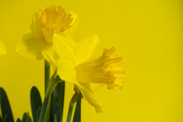 Similar image 21490283