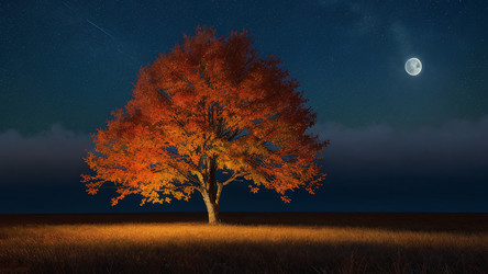 Similar image 21490540