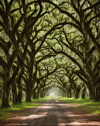 Similar image 21495160