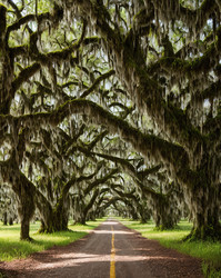 Similar image 21495191