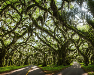 Similar image 21495194