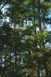 Similar image 21489515