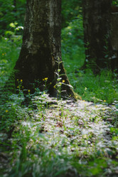 Similar image 21489516