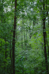 Similar image 21489517