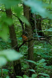 Similar image 21489521