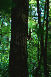 Similar image 21489522