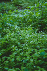 Similar image 21489523