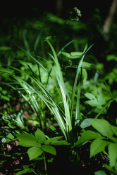 Similar image 21489524