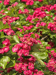 Similar image 21496637