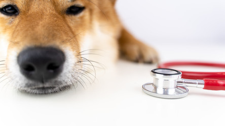 Similar image 21500113