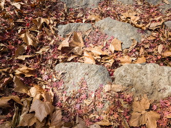 Similar image 21490284