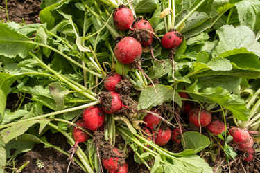 Similar image 21490286